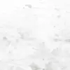 Arkia Royal Carrara Arkia Royal Carrara