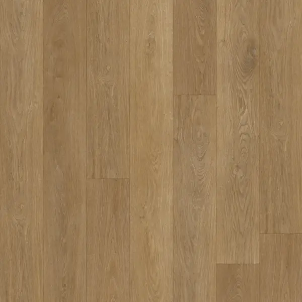 Avolis Grand – Elysian Oak Avolis Grand – Elysian Oak