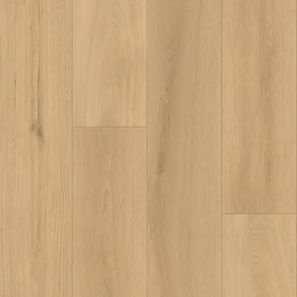 Avolis Essential – Clarity Oak Avolis Essential – Clarity Oak