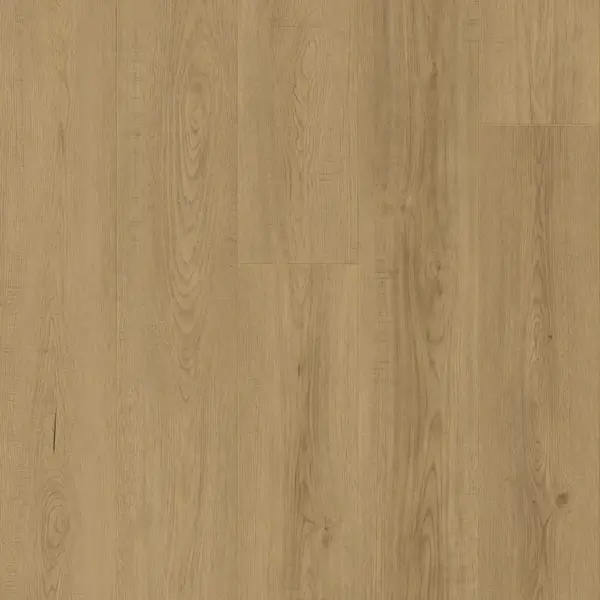 Avolis Essential – Grounded Oak Avolis Essential – Grounded Oak
