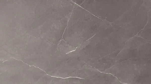 NAF Aqua Commercial Glue Down Tile 5mm – Graphite