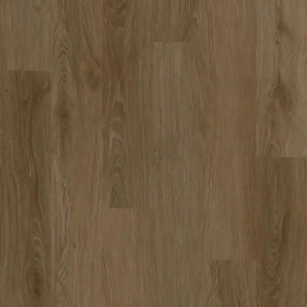 Avolis Avoflex 5.0 – Distinction Avolis Avoflex 5.0 – Distinction