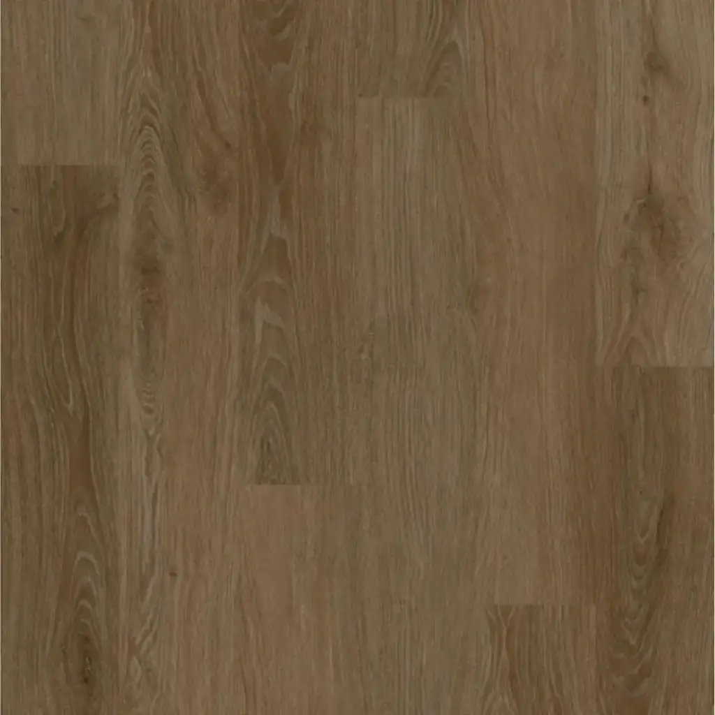 Avolis Avoflex 5.0 – Distinction Avolis Avoflex 5.0 – Distinction