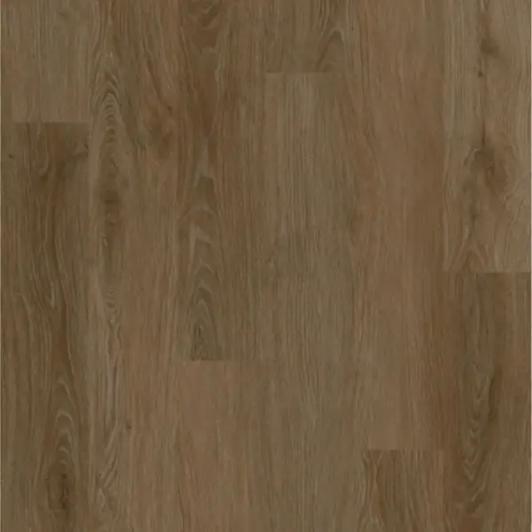 Avolis Avoflex 5.0 – Distinction Avolis Avoflex 5.0 – Distinction
