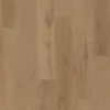 Avolis Grandson – Refinement Avolis Grandson – Refinement
