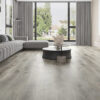 Purelux Dynamic – Bridge — gallery photo 2 Purelux Dynamic – Bridge — gallery photo 2