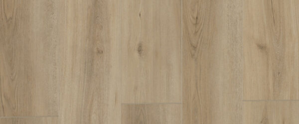Purelux Glue Down – Encore — gallery photo 3