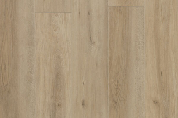 Purelux Glue Down – Encore — main photo