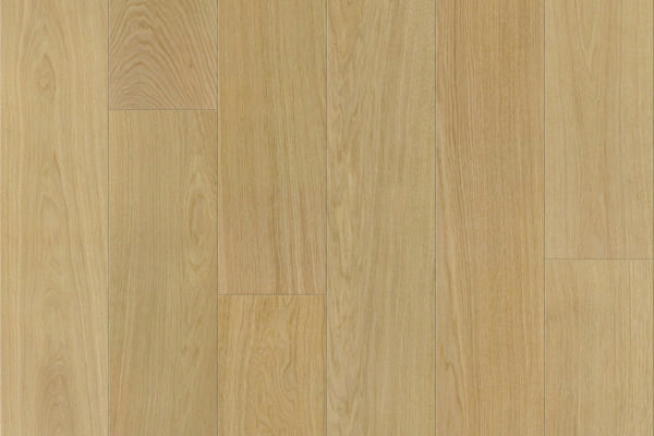 Purelux Nova Pec – Apex — main photo