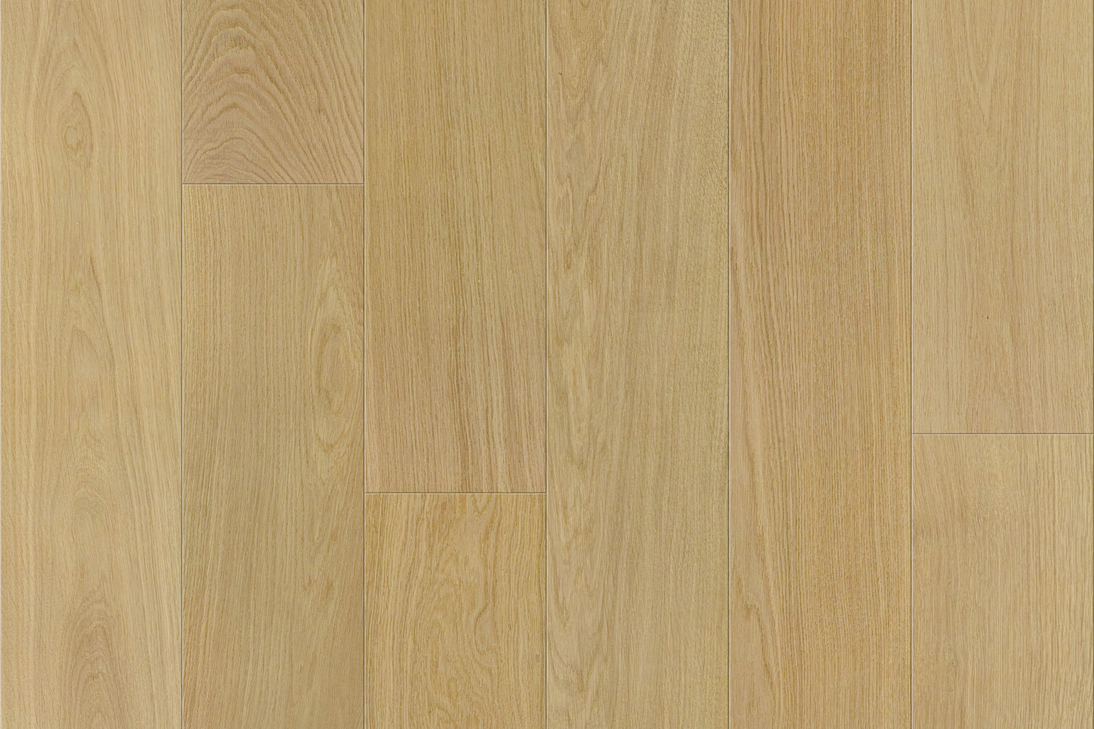 Purelux Nova Pec – Apex — main photo